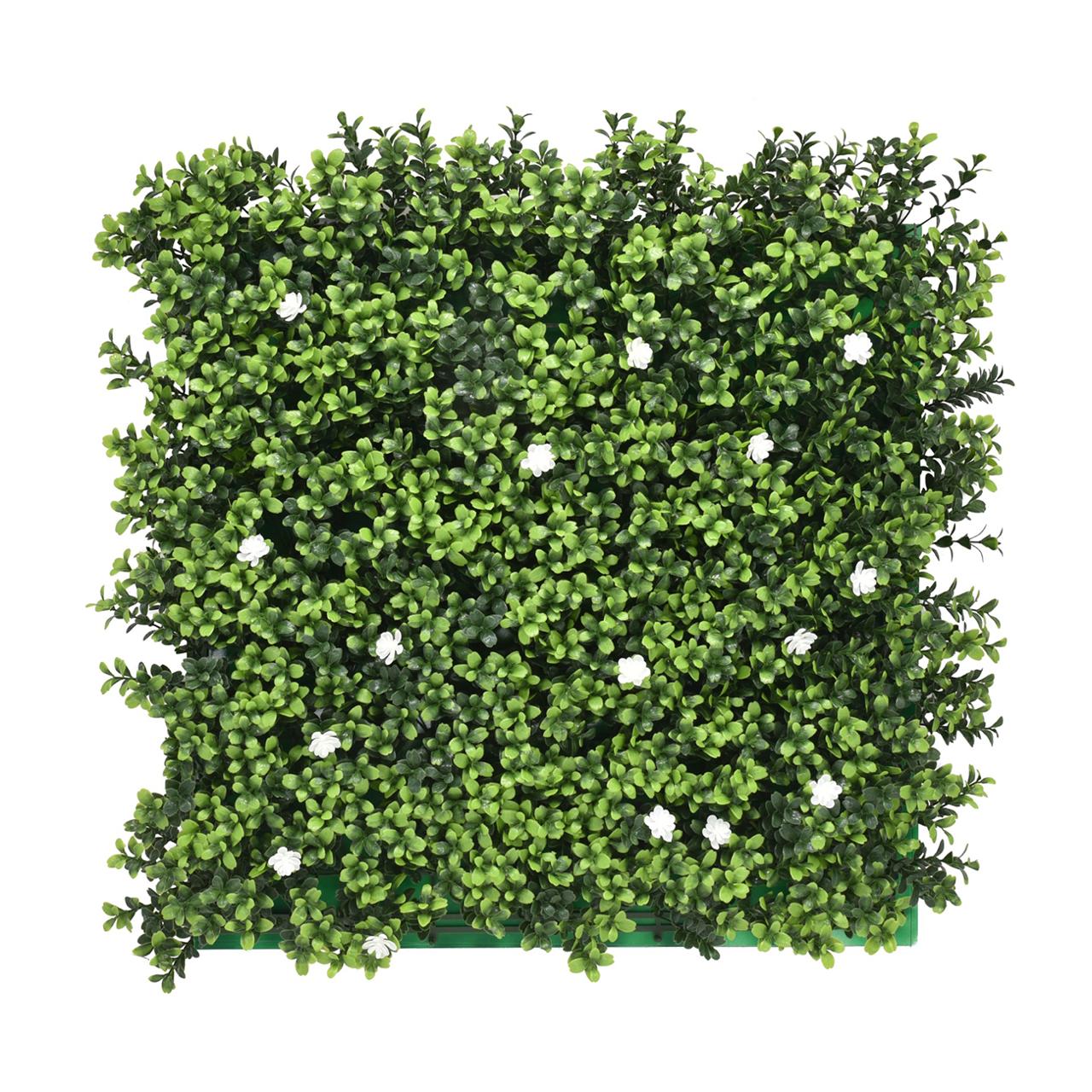 Boxwood Inglés 50x50cm
