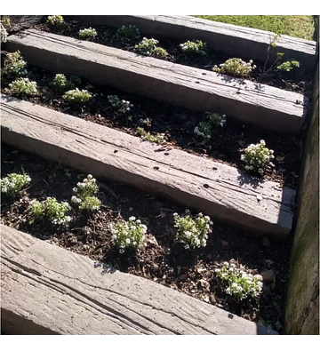 Pastelón Durmiente Ferrocarril de Hormigón