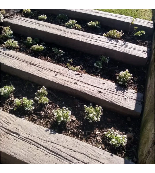 Pastelón Durmiente Ferrocarril de Hormigón