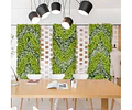 Jardin Vertical Reflexión