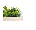 Jardín Vertical Vertiente 33x33 cm