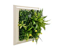 Jardín Vertical Vertiente 33x33 cm