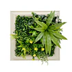 Jardín Vertical Vertiente 33x33 cm