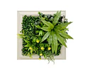 Jardín Vertical Vertiente 33x33 cm
