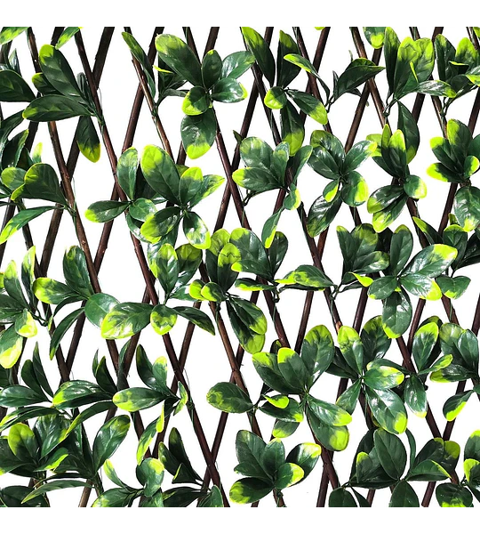 Valla Artificial Pared Willow 100x120 cm