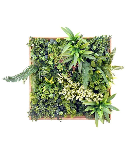 Jardín Vertical Irlanda 50x50 cm