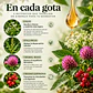 PACK MAYA VERRA 3 FRASCOS – Fórmula Botánica en Gotas - Miniatura 2