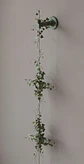 KIT Enreda 02 - Miniatura 3