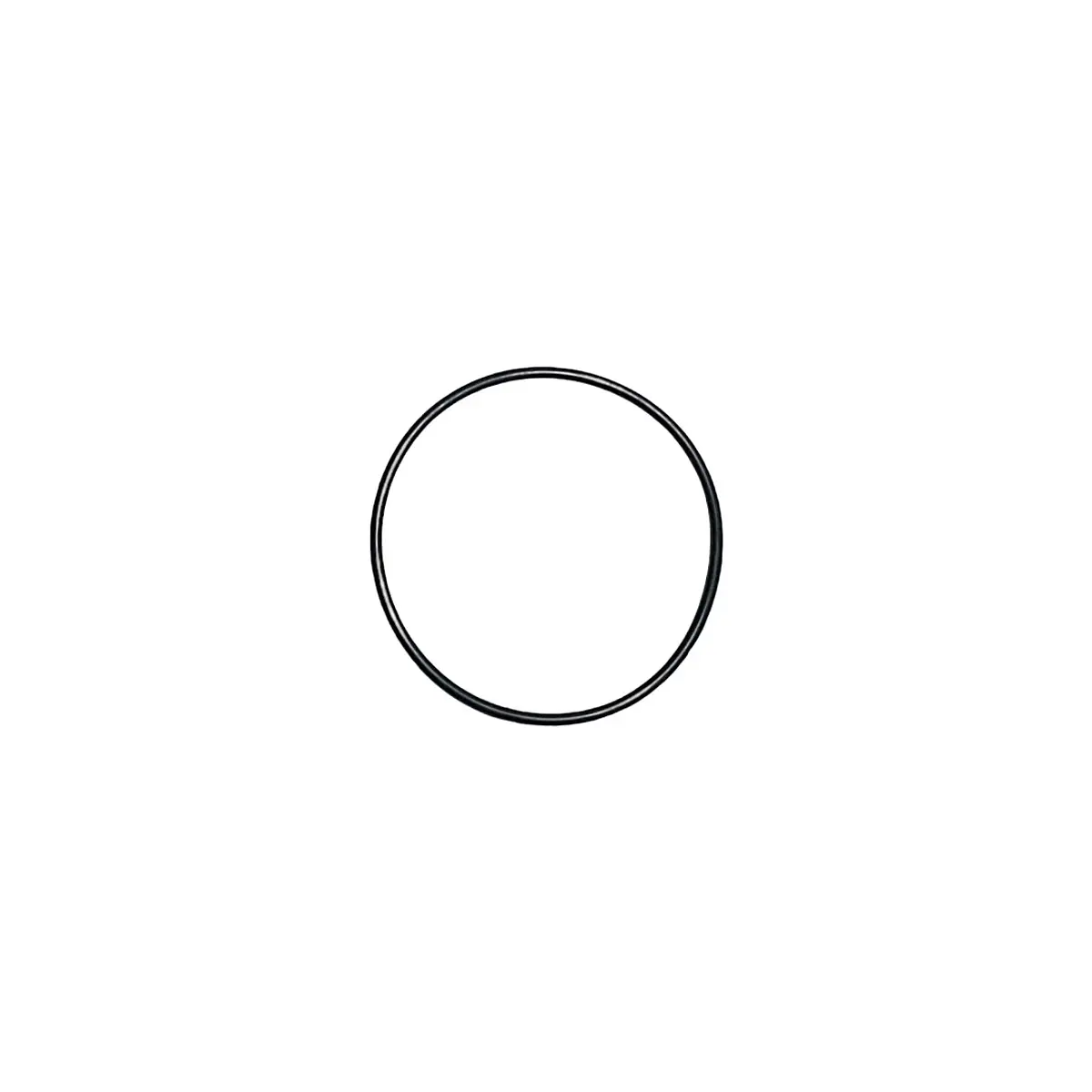 O´RING INYECTOR ISX | IGM repuestos®