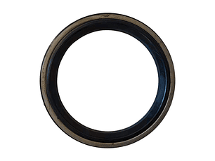 RETEN MAZA TRAS CARGO