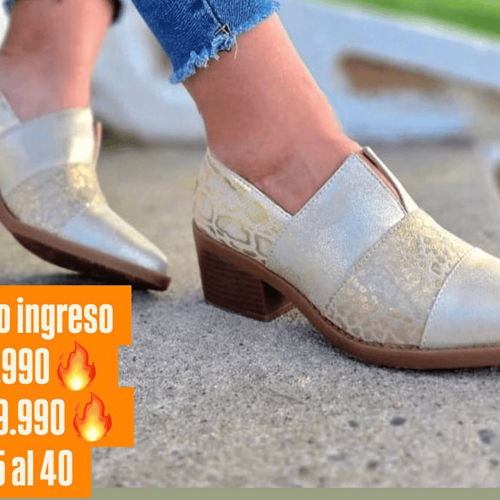 CALZADO DORADO APLICACION PRINT 1