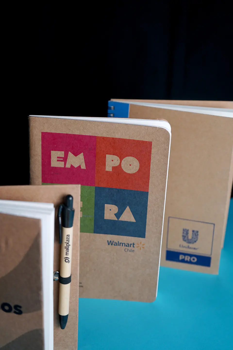 Libretas Ecológicas 2