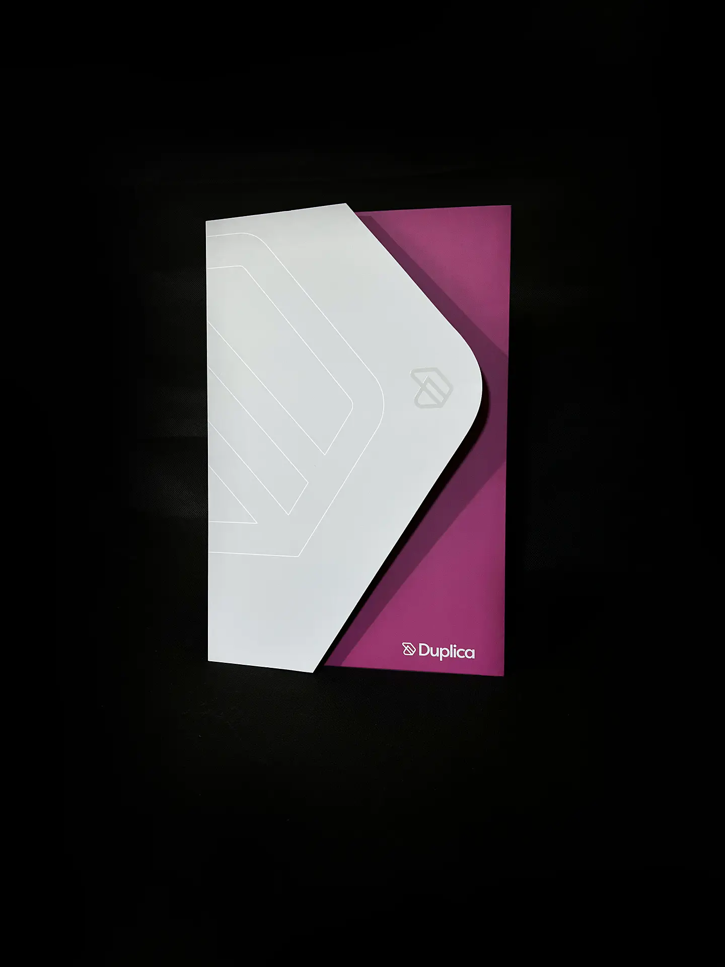 Carpeta Duplica (Muestra) 1
