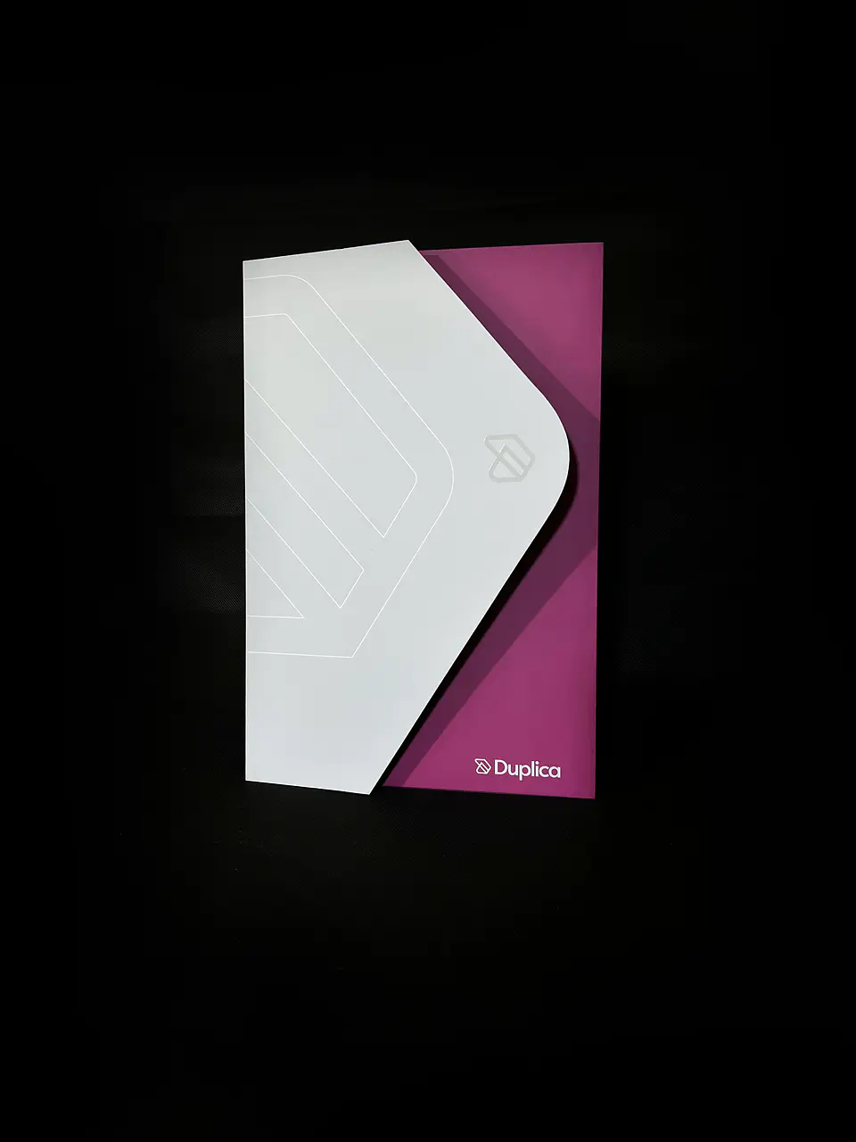 Carpeta Duplica (Muestra) 1