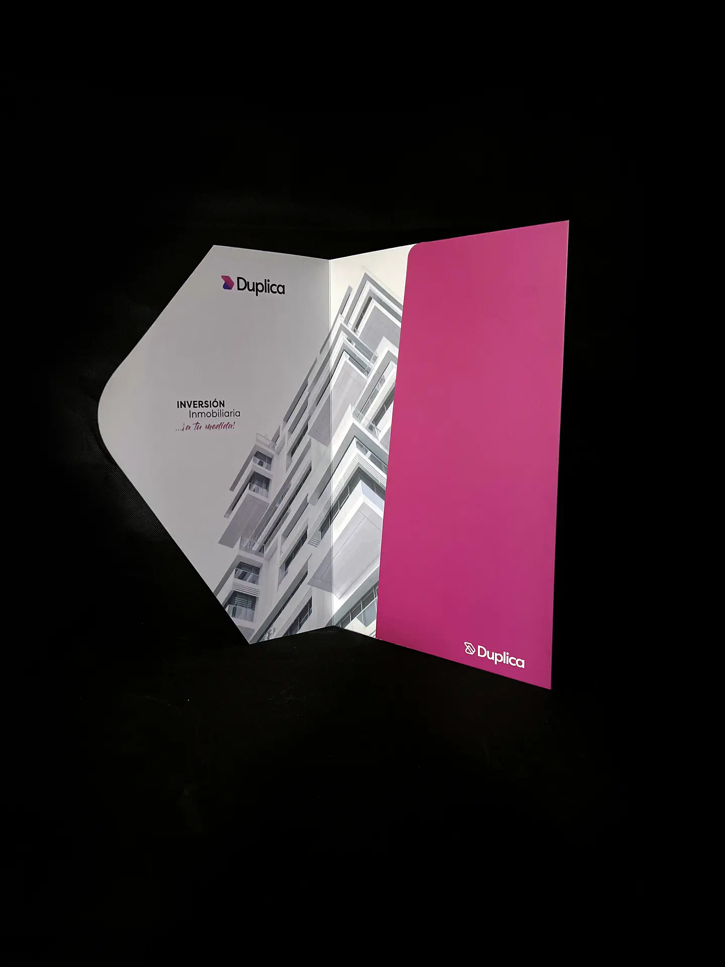 Carpeta Duplica (Muestra) 2