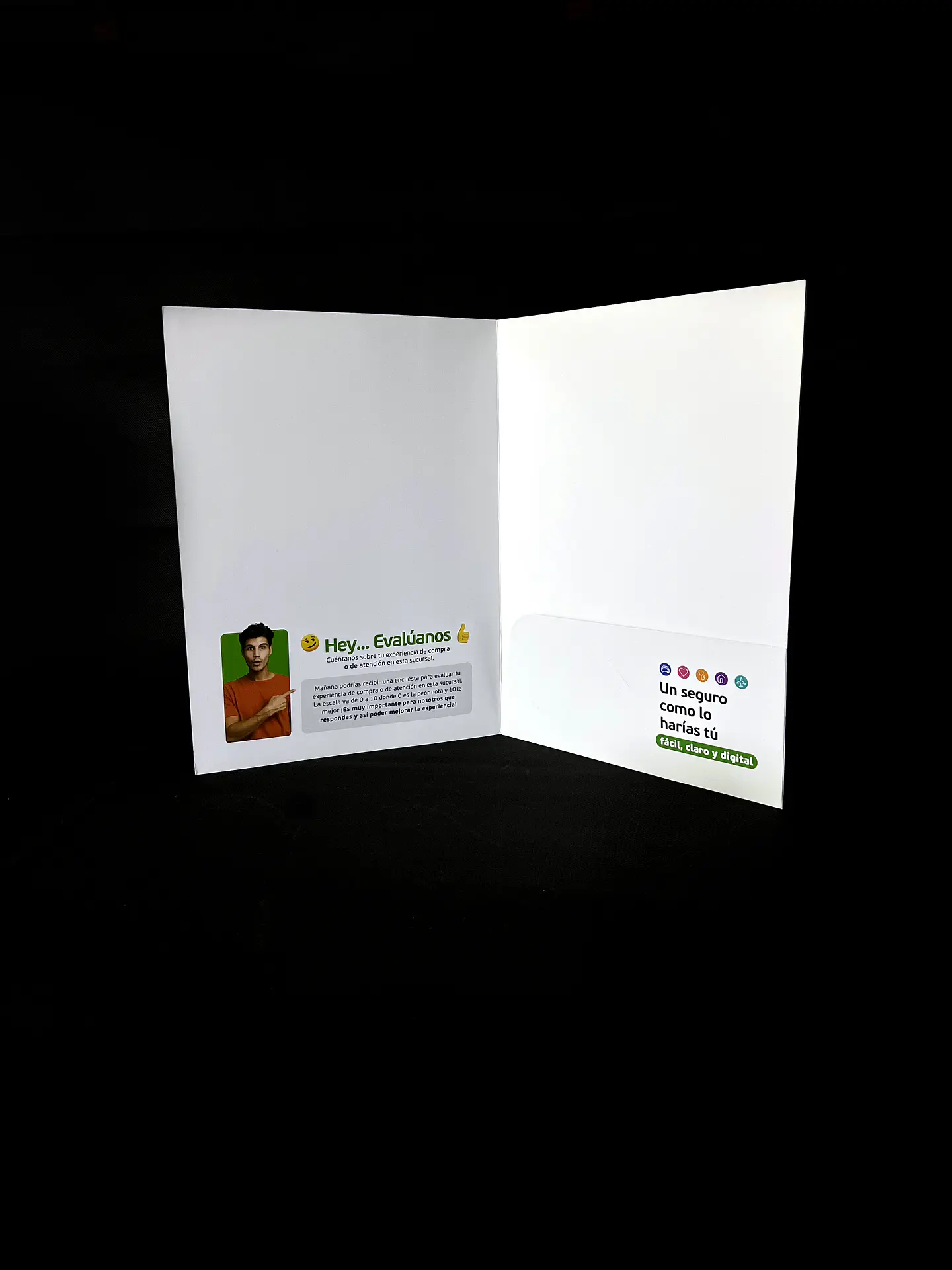 Carpeta Falabella (Muestra) 2