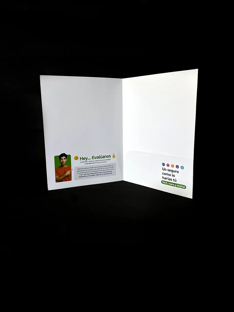 Carpeta Falabella (Muestra) 2