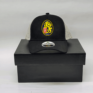 Gorras  Leones 01