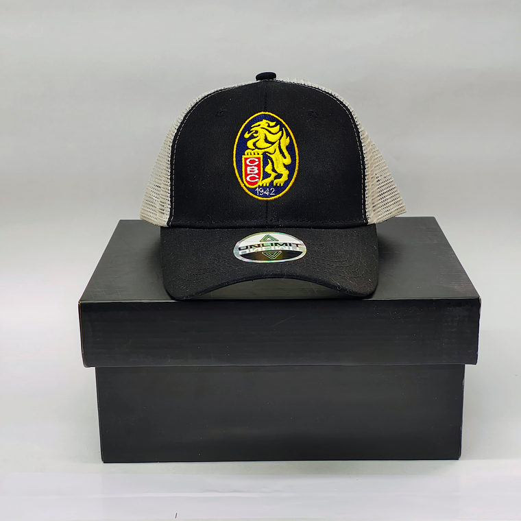Gorras  Leones 01 1