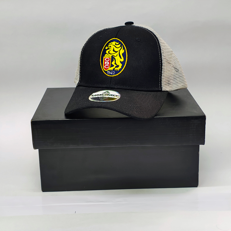 Gorras  Leones 01 2