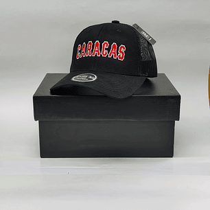 Gorras Leones 02