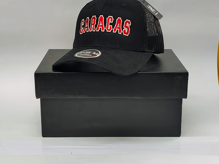 Gorras Leones 02 1