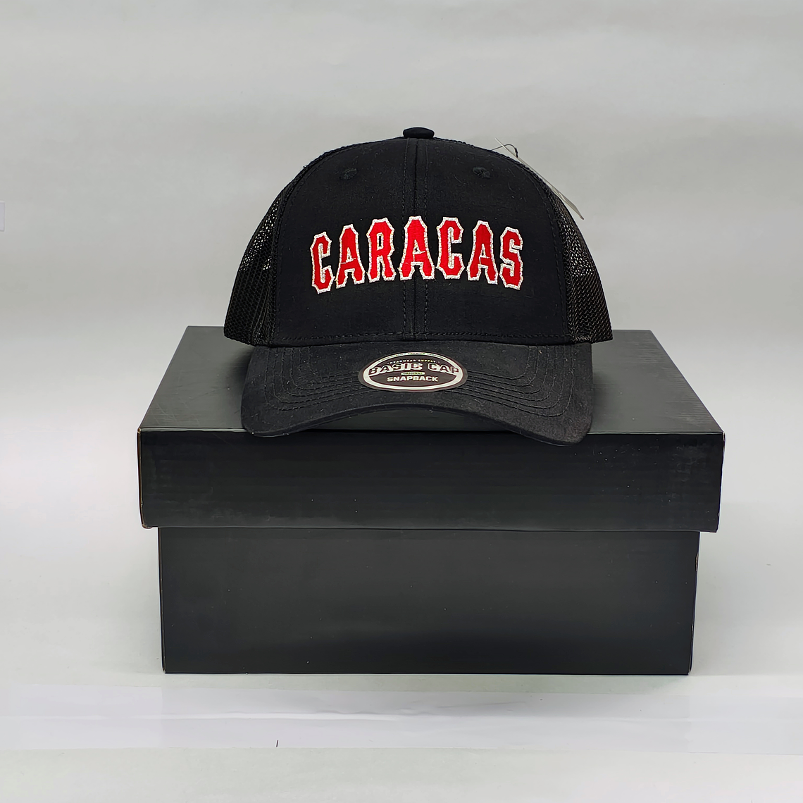 Gorras Leones 02 2
