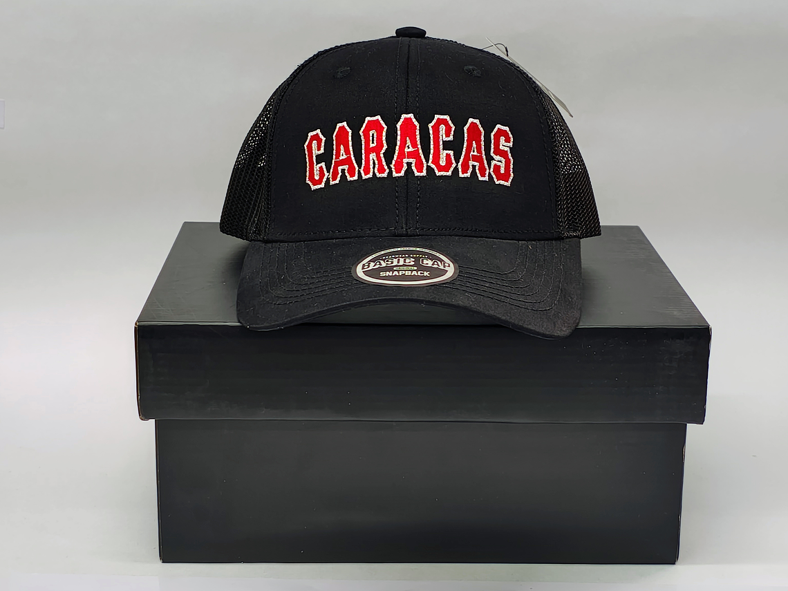 Gorras Leones 02 2