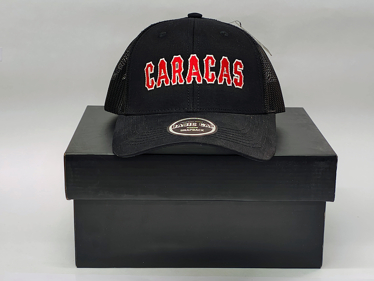 Gorras Leones 02 2