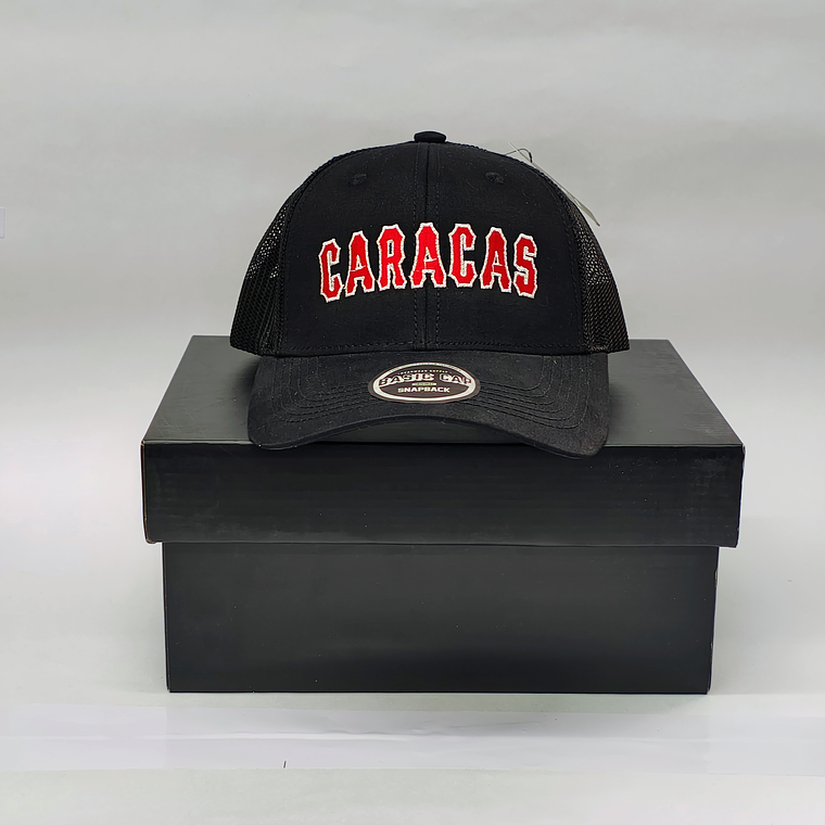 Gorras Leones 02 2