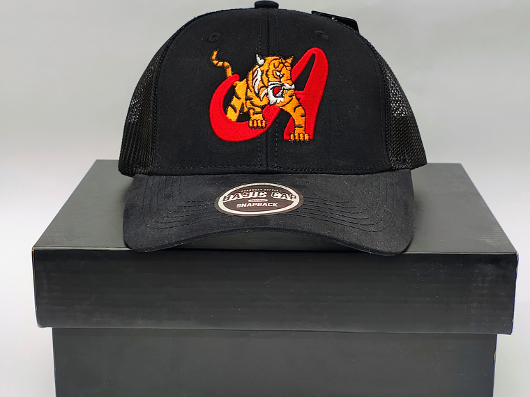 Gorra Trigres 02 1