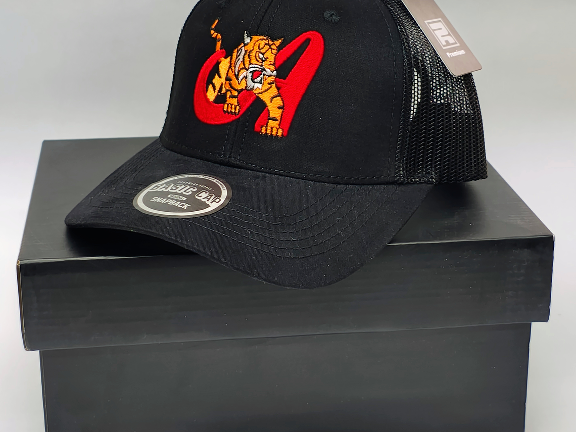 Gorra Trigres 02 2