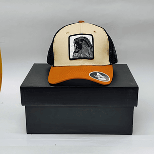 Jockey Trucker Cab02