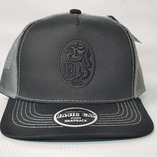 Gorra Leones 04