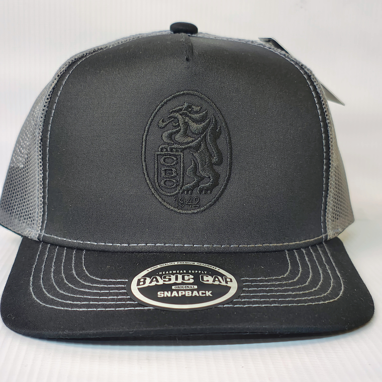 Gorra Leones 04 1