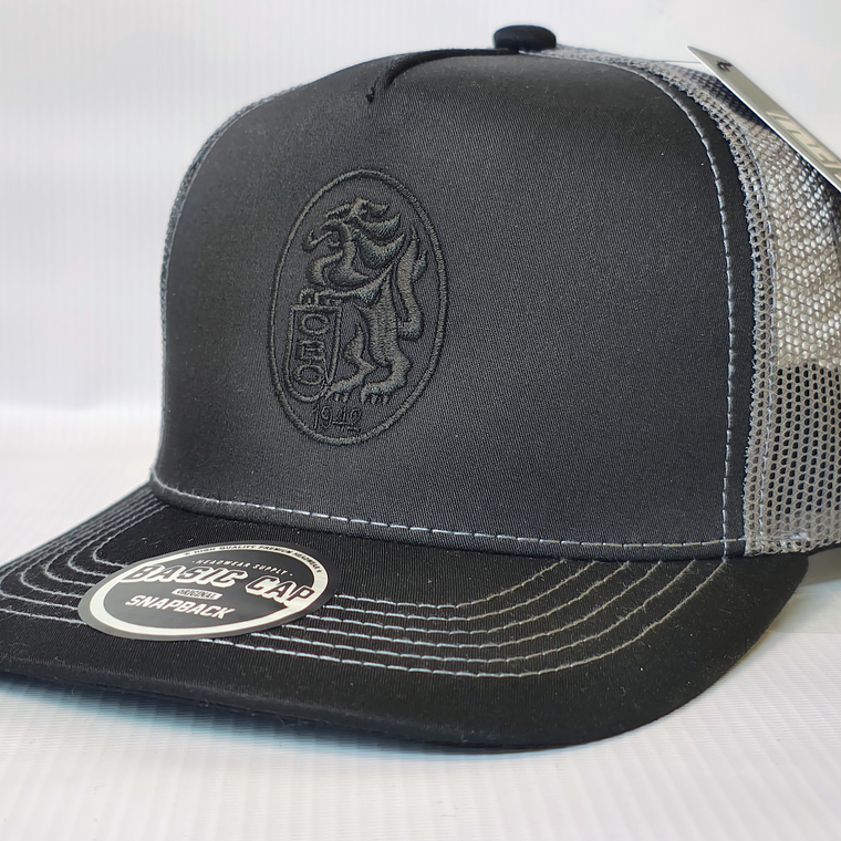 Gorra Leones 04 2