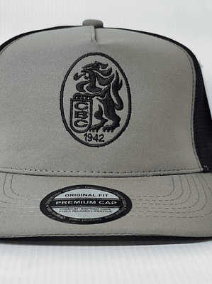 Gorra Leones 05