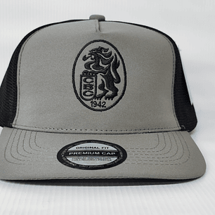 Gorra Leones 05