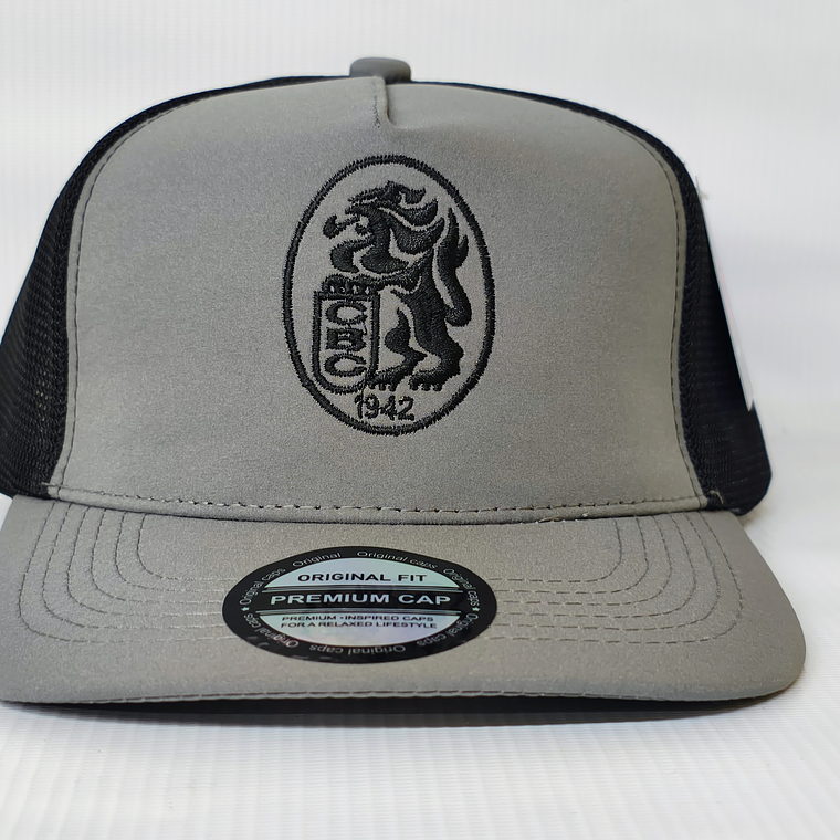 Gorra Leones 05 1