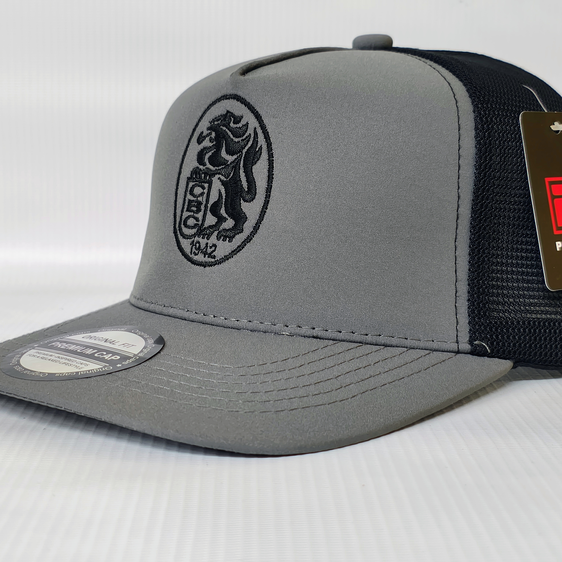 Gorra Leones 05 2