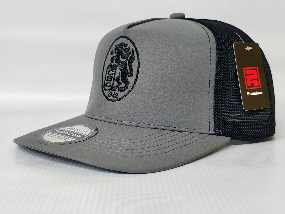 Gorra Leones 05 2