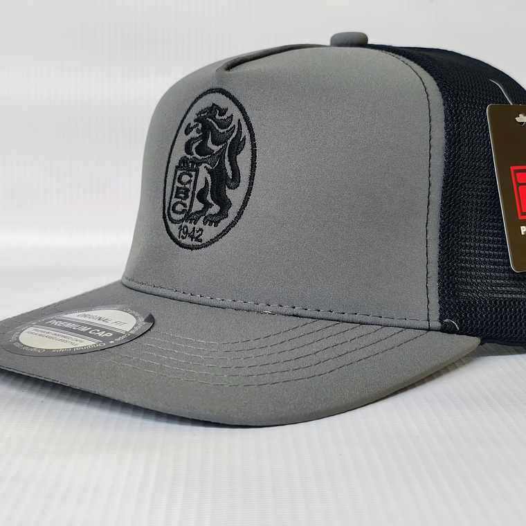 Gorra Leones 05 2