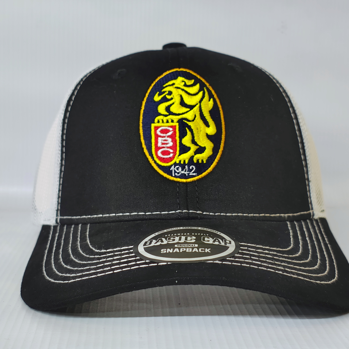 Gorras  Leones 01 1