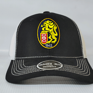 Gorras  Leones 01