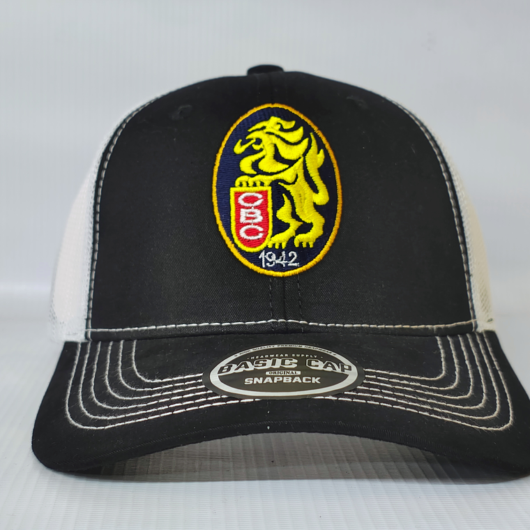 Gorras  Leones 01 1