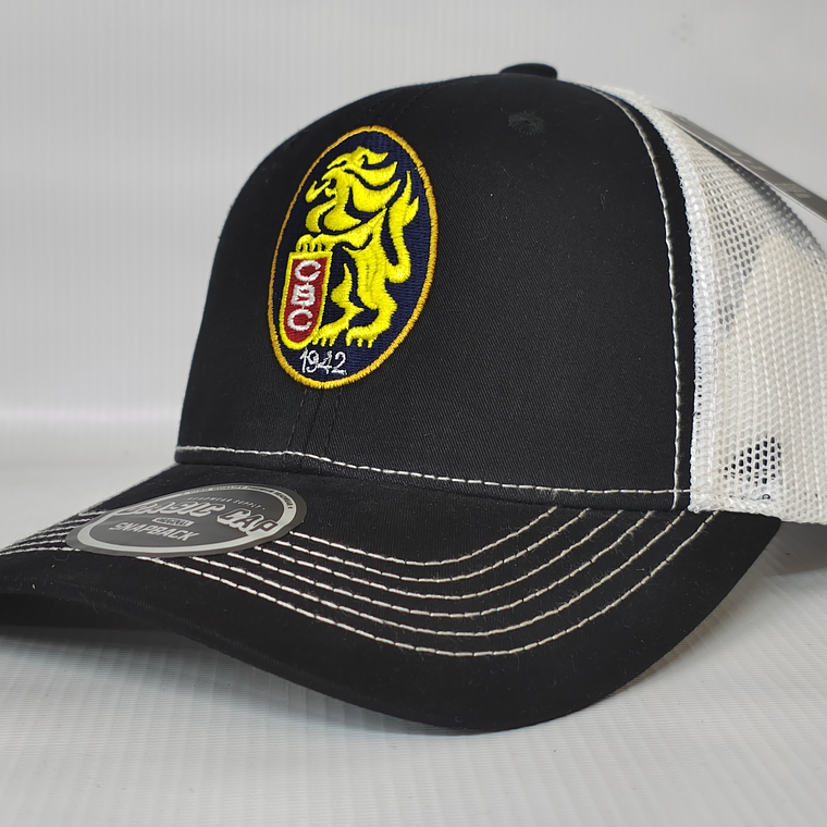 Gorras  Leones 01 2