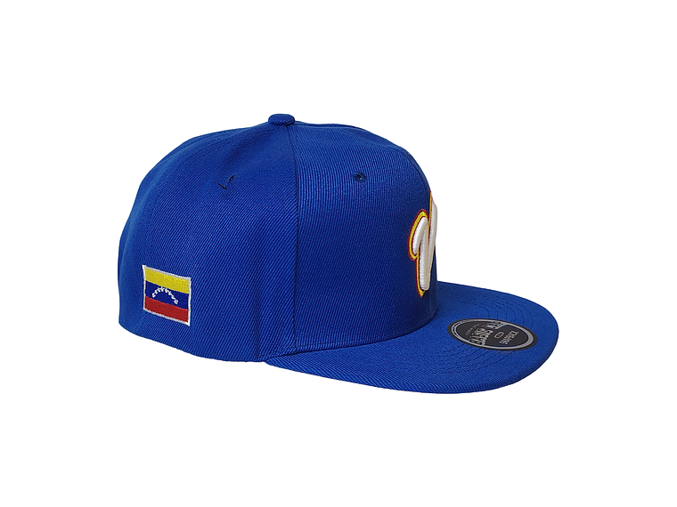 Clásico Beisbol 2026 Plana 2