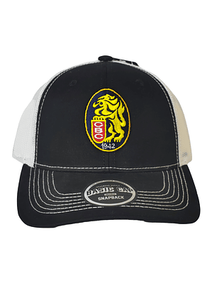 Gorras  Leones 01