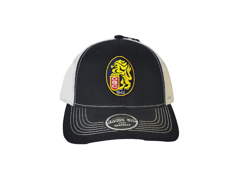 Gorras  Leones 01 1