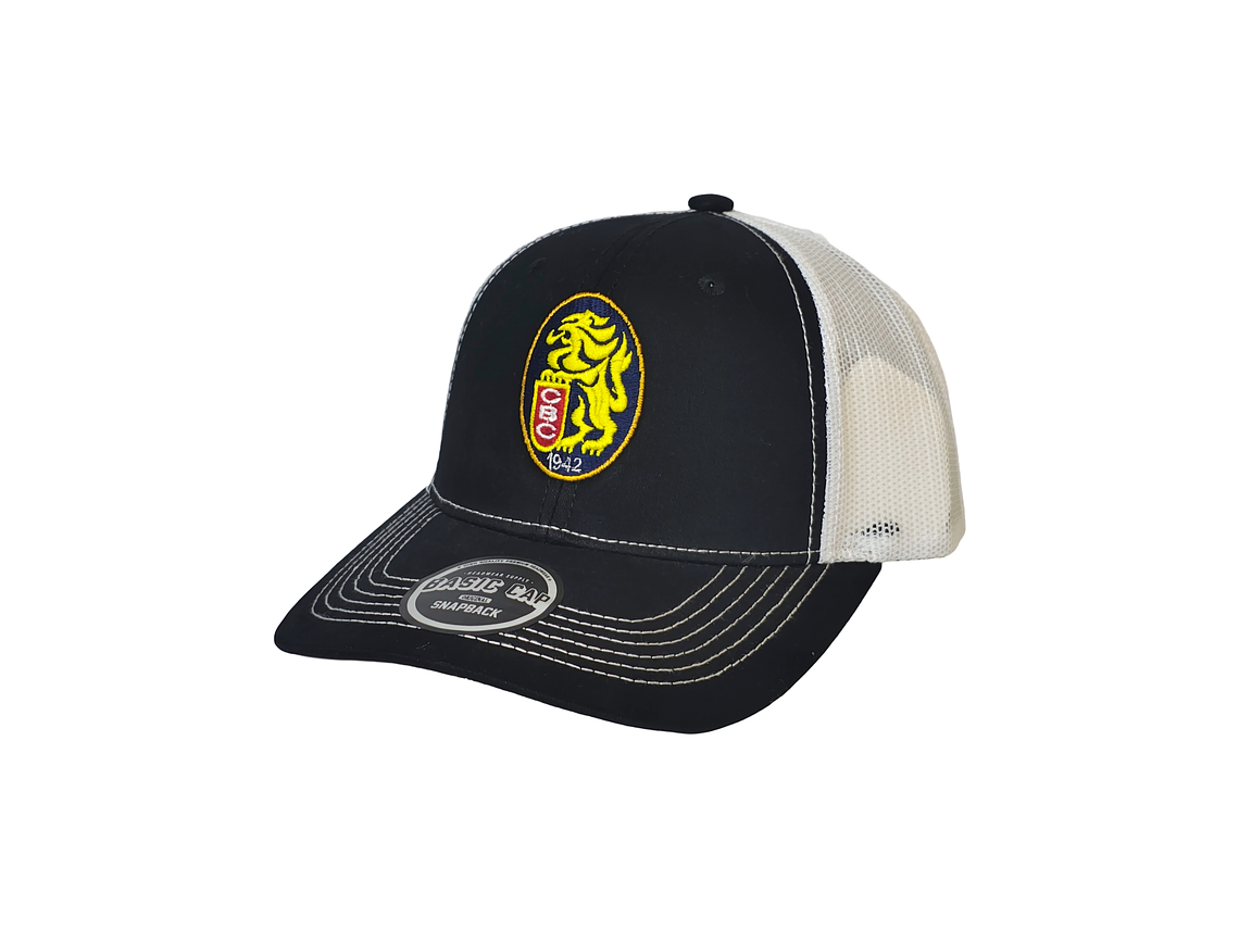 Gorras  Leones 01 2